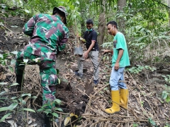 TERUS MENANAM BERINGIN, AN KINI DI WEKIAR SILAWAN